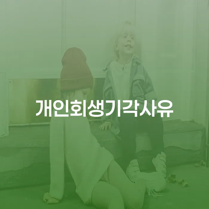 개인회생 후기 대출 받은 돈채무조정 간편비교