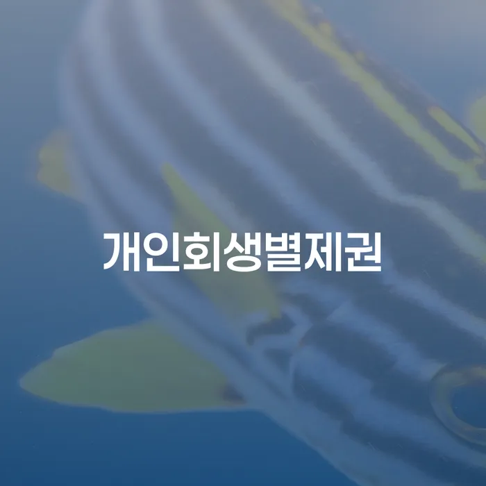 개인회생변호사 정직하고 연체 채무 신속해결방법 면담후에