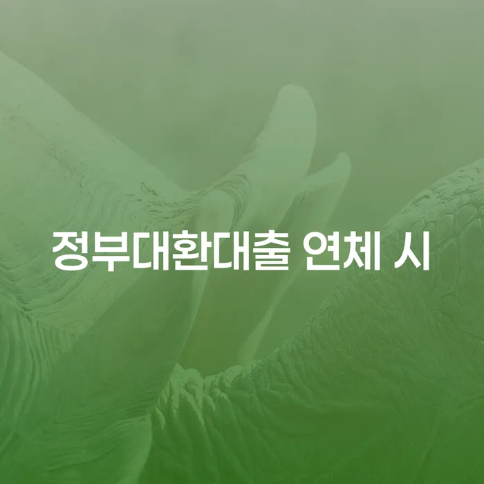개인부채 개인회생 제도 핵심요약