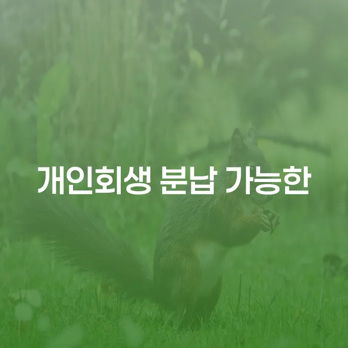 태안군 개인회생파산 개인회생,개인파산으로 해결하고 싶다면
