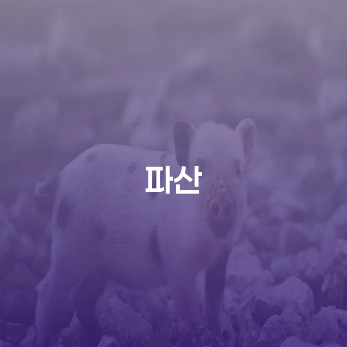 김해시 개인회생파산비용 싸고 분납이 가능하면서 개인회생으로 해결방법 사례확인하고