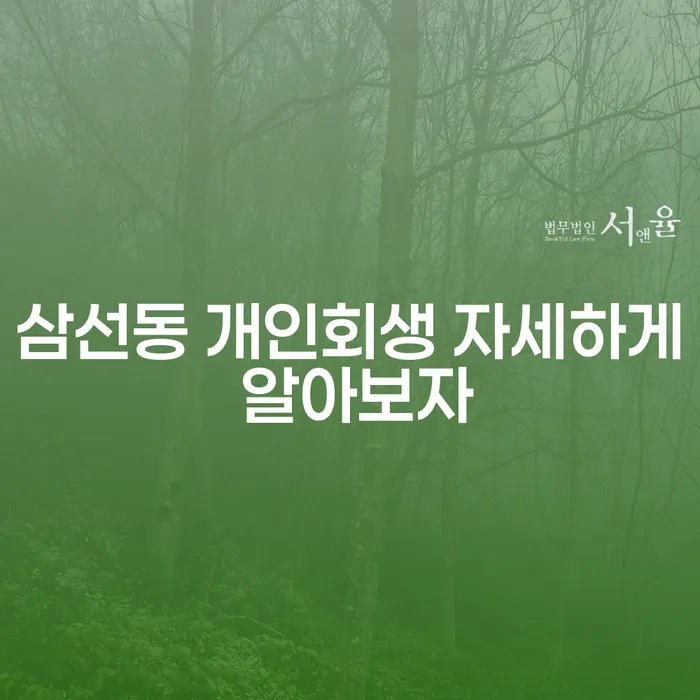 삼선동 개인회생 자세하게 알아보자