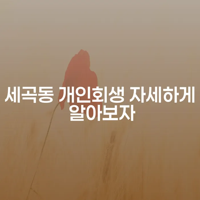 세곡동 개인회생 자세하게 알아보자