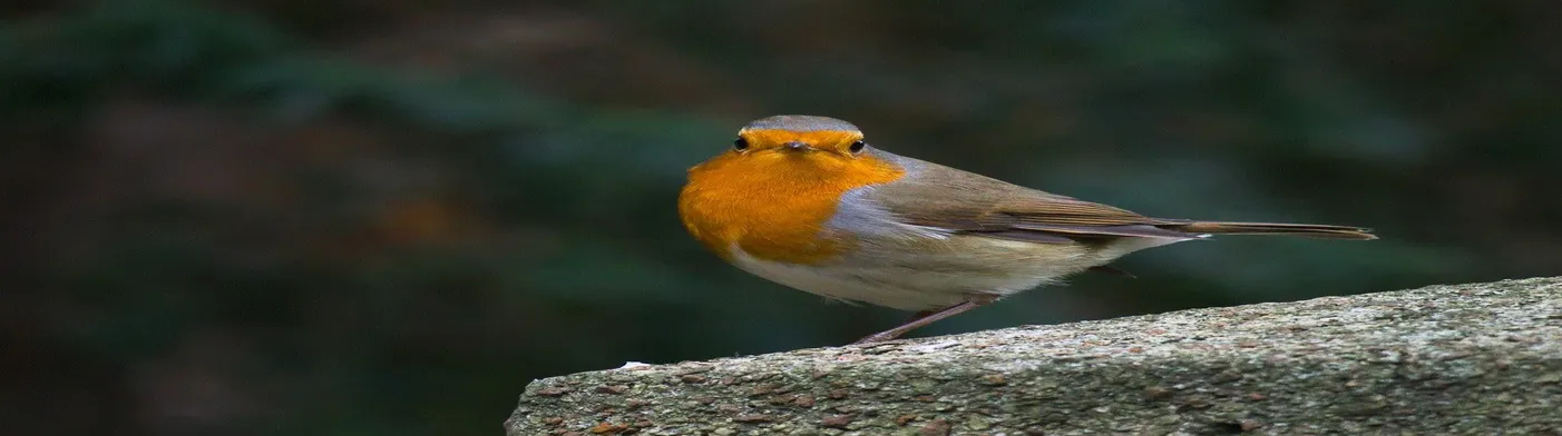 법무법인 서앤율