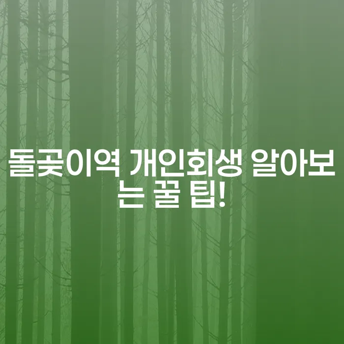 돌곶이역 개인회생 알아보는 꿀 팁!