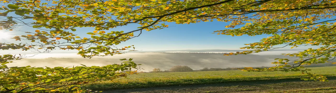법무법인 서앤율