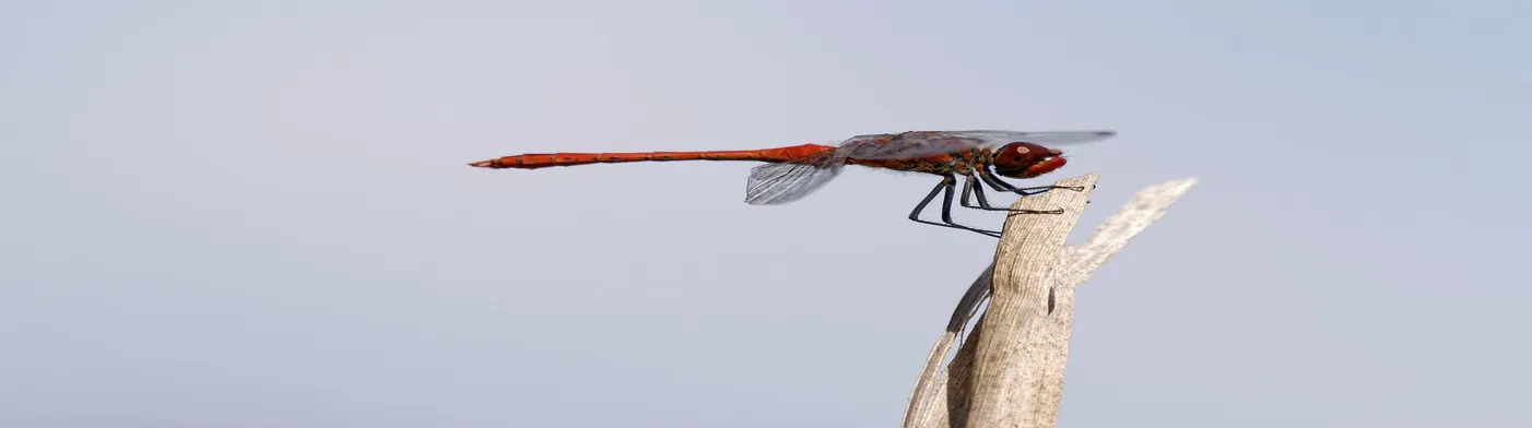 법무법인 서앤율