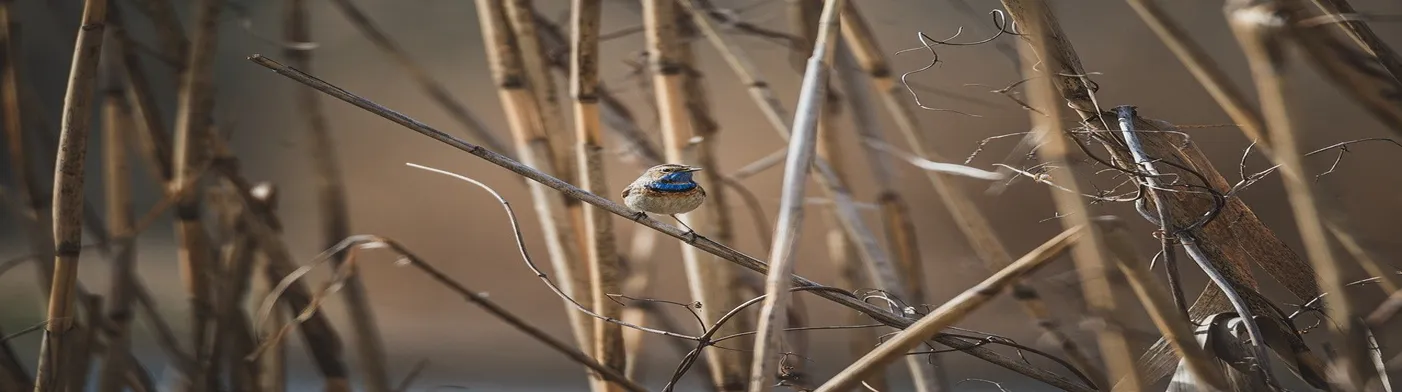 법무법인 서앤율