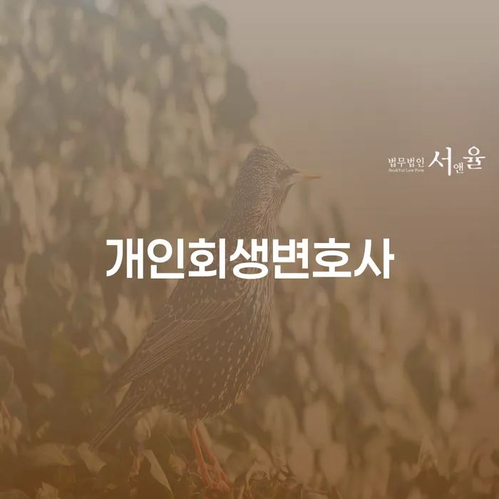 상도1동 개인회생변호사와 함께하는 경제적 재건