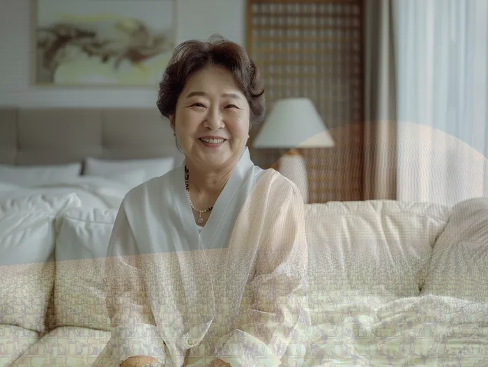 안동시 파산 절차