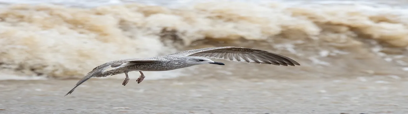 법무법인 서앤율