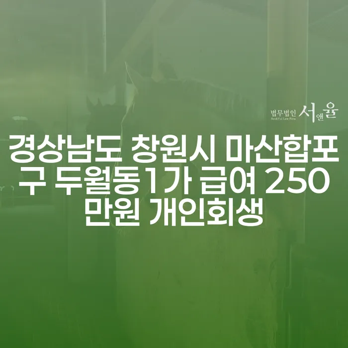 경상남도 창원시 마산합포구 두월동1가 급여 250만원 개인회생과 파산이란 무엇인가요?
