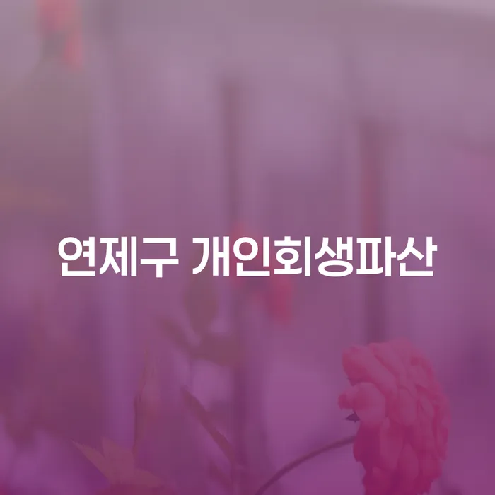 연제구에서 개인회생과 파산, 무엇이 더 나은 선택일까요?