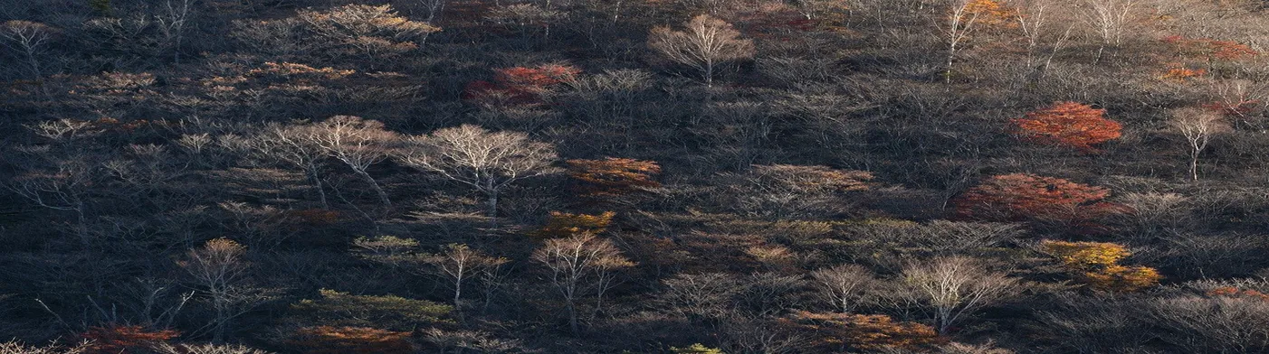 법무법인 서앤율